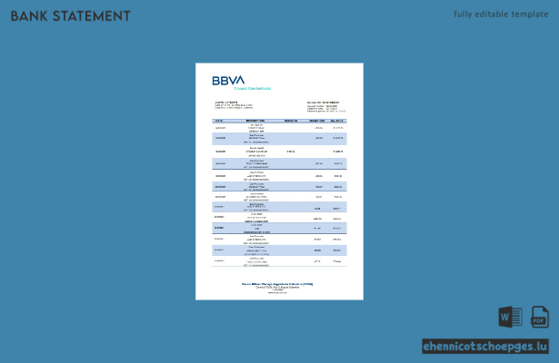 Beispiel eines Kontoauszugs der BBVA Kolumbien